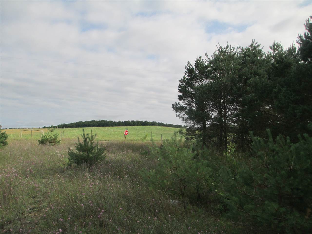 Anderson Road Kalkaska, MI 49646 - Photo 17 of 17 1860155-16.JPG