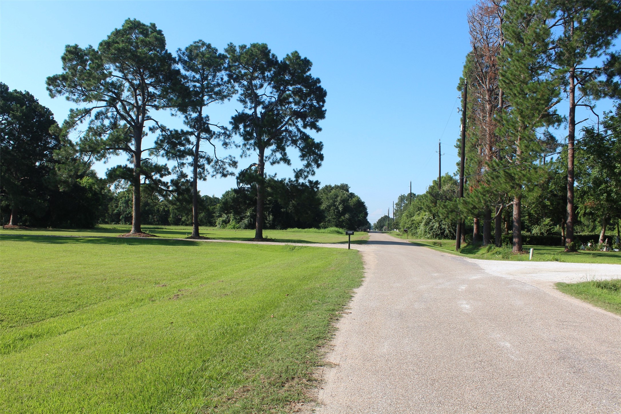 4531 Curry Street Manvel, TX 77578 - Photo 12 of 24 a view of a park