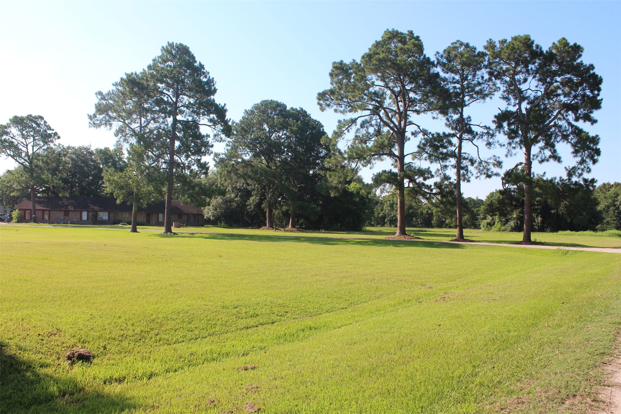 4531 Curry Street Manvel, TX 77578 - Photo 13 of 24 a view of a swimming pool with an outdoor space and seating area