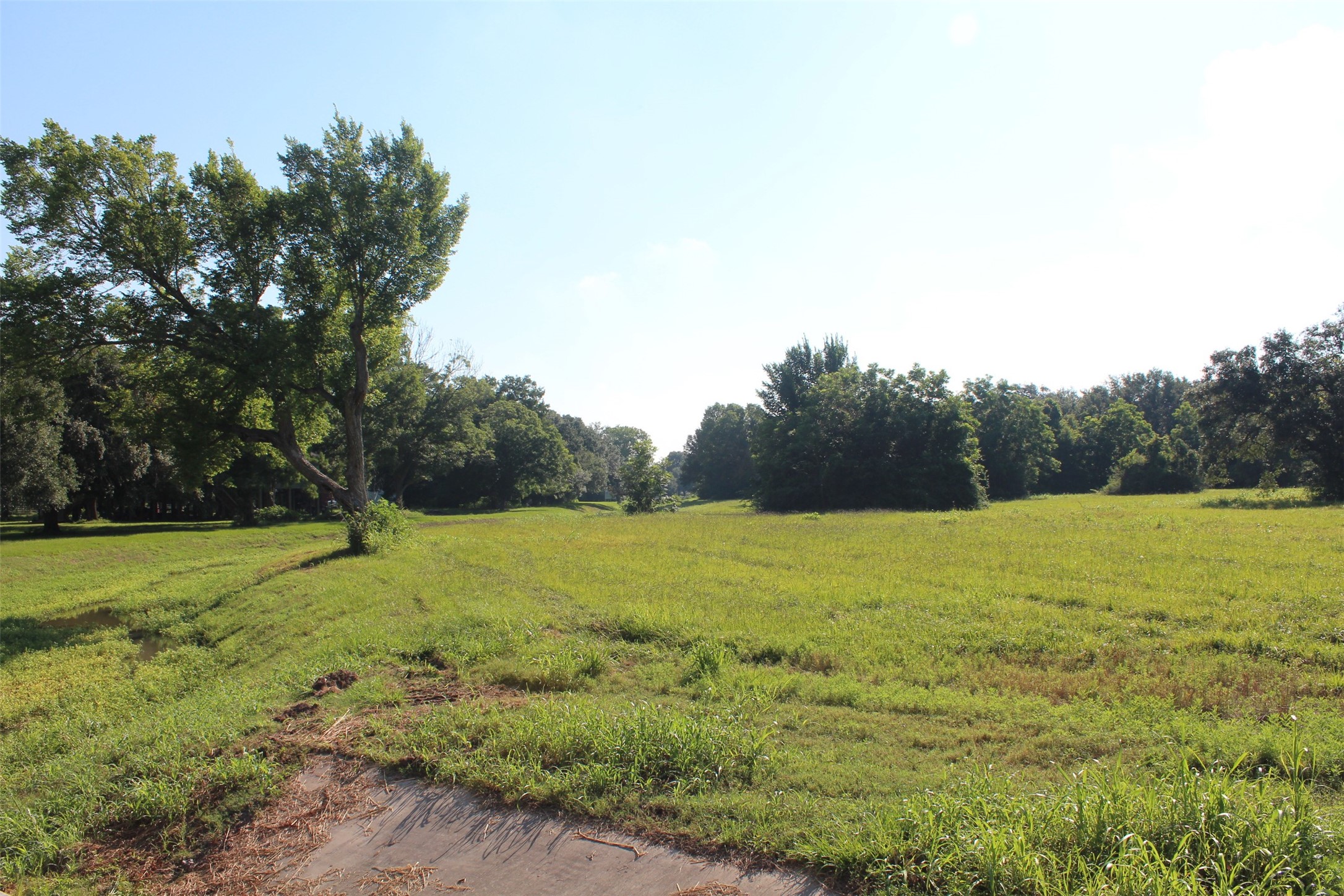 4531 Curry Street Manvel, TX 77578 - Photo 15 of 24