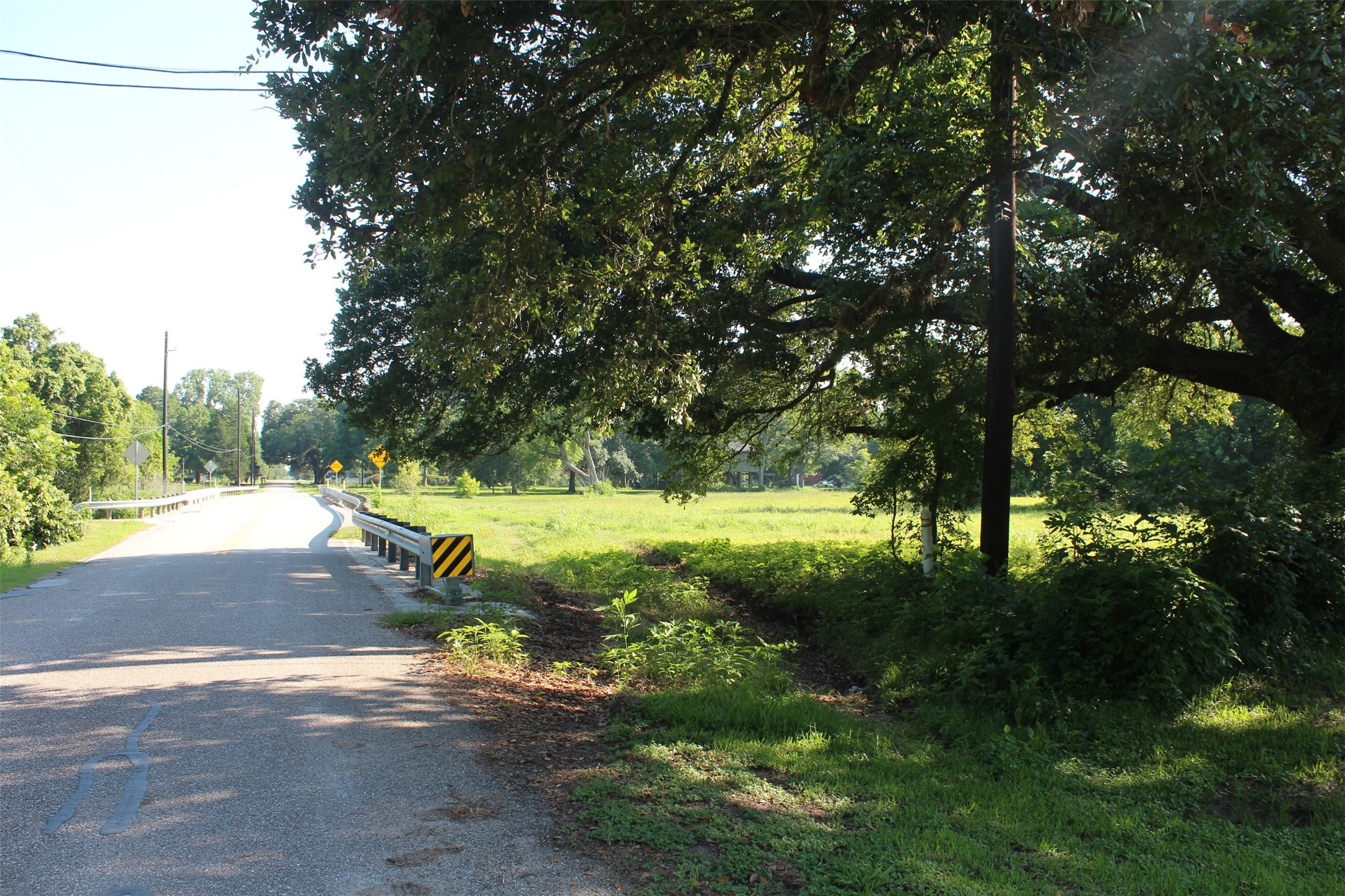 4531 Curry Street Manvel, TX 77578 - Photo 17 of 24 a view of a yard with plants and large trees