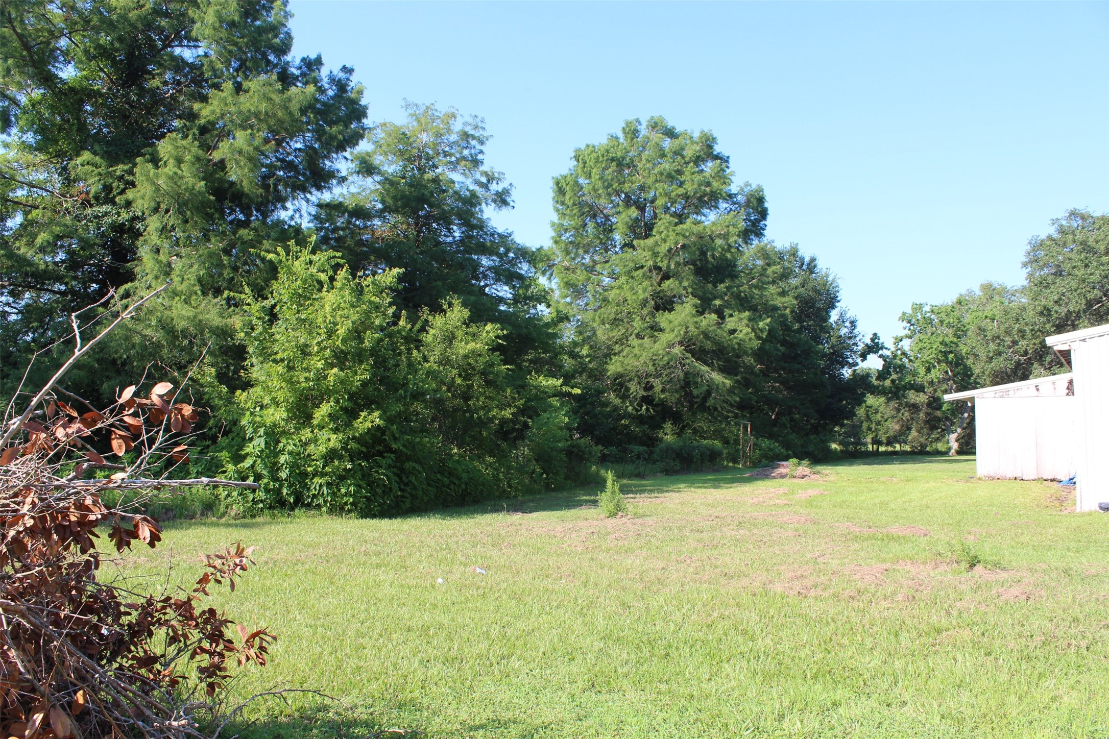 4531 Curry Street Manvel, TX 77578 - Photo 3 of 24 a view of a yard with potted plants and large trees