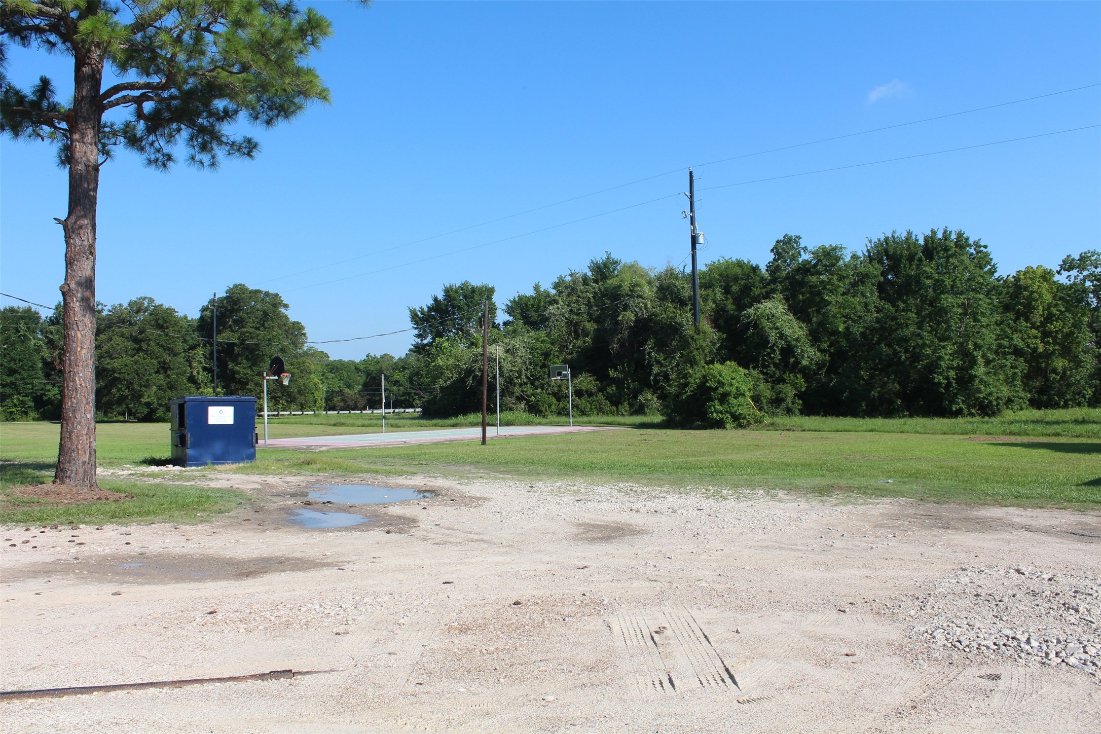 4531 Curry Street Manvel, TX 77578 - Photo 6 of 24 a big yard with lots of green space