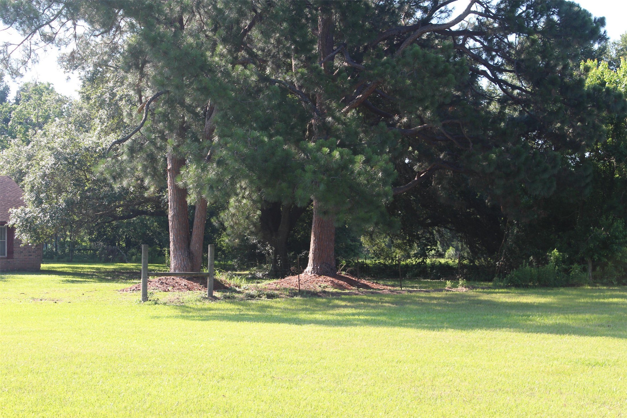 4531 Curry Street Manvel, TX 77578 - Photo 8 of 24 a view of swimming pool with trees