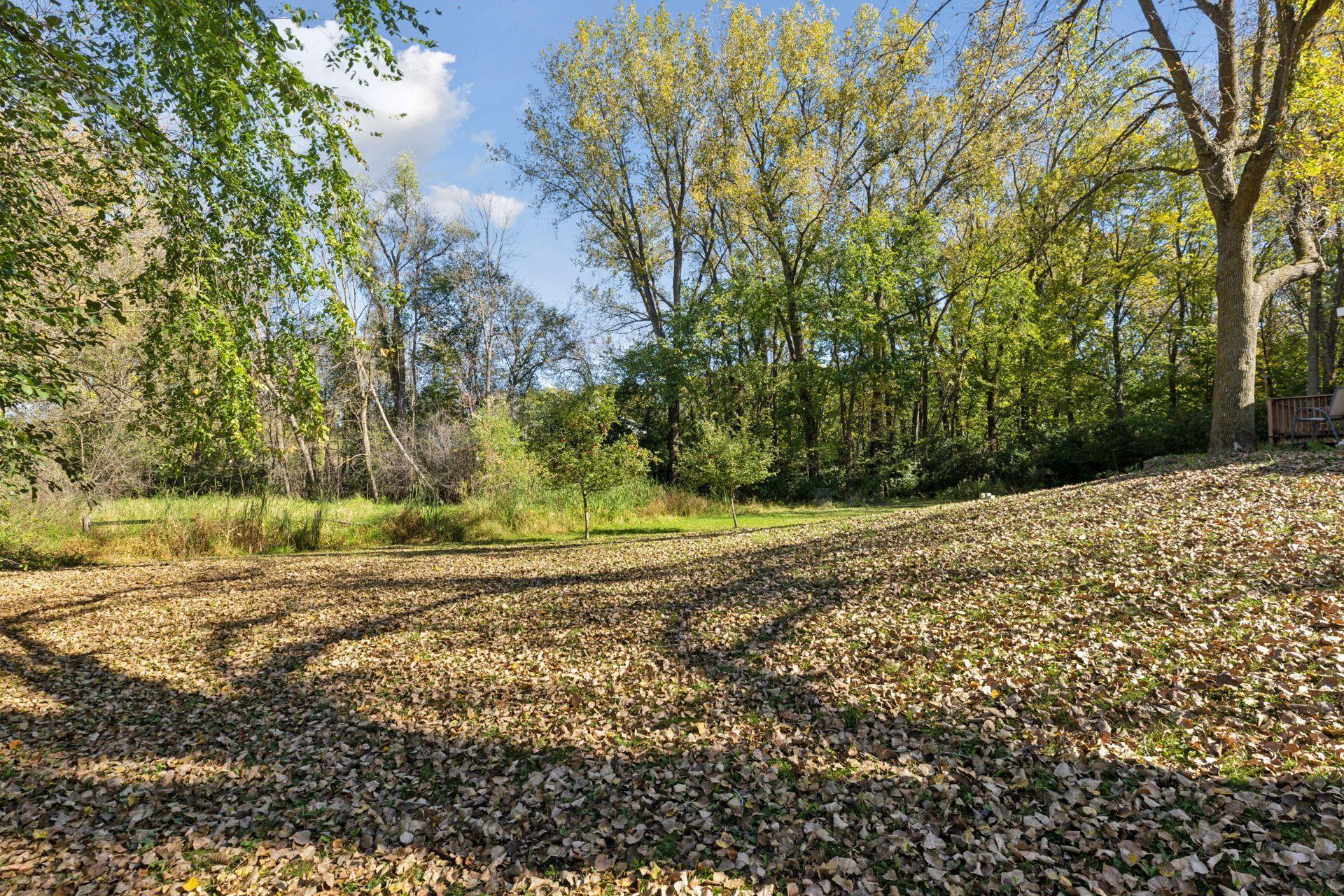 485 Vixen Road Medina, MN 55391 - Photo 31 of 35