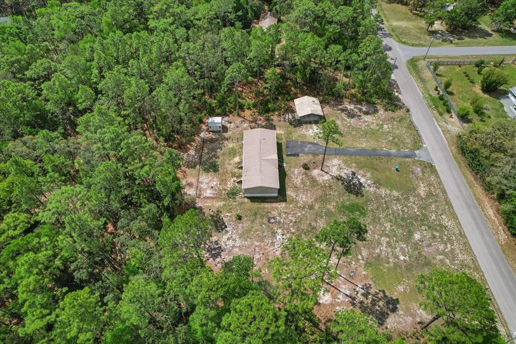 2443 South Pine Ridge Avenue Homosassa, FL 34448 - Photo 47 of 56