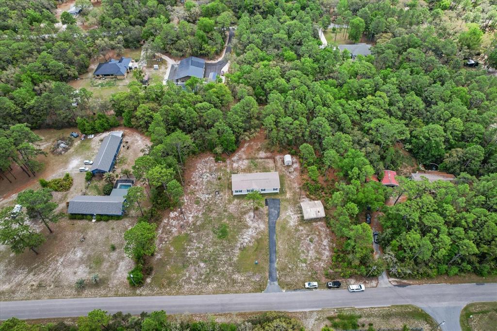 2443 South Pine Ridge Avenue Homosassa, FL 34448 - Photo 51 of 56