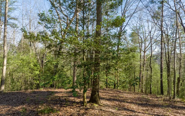 $300,000 | 3-ac Coatopa Court, Ellijay, GA 30540