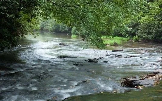 $300,000 | 3-ac Coatopa Court, Ellijay, GA 30540