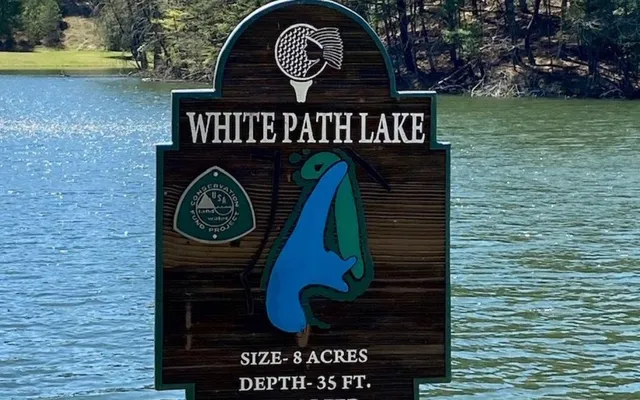 $300,000 | 3-ac Coatopa Court, Ellijay, GA 30540