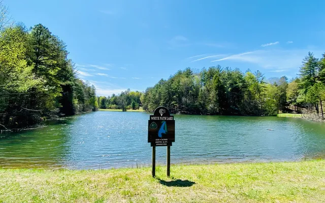 $300,000 | 3-ac Coatopa Court, Ellijay, GA 30540