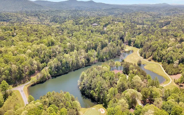 $300,000 | 3-ac Coatopa Court, Ellijay, GA 30540
