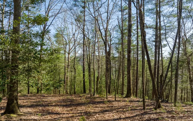 $300,000 | 3-ac Coatopa Court, Ellijay, GA 30540