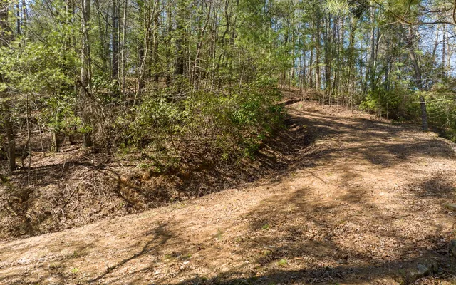 $300,000 | 3-ac Coatopa Court, Ellijay, GA 30540