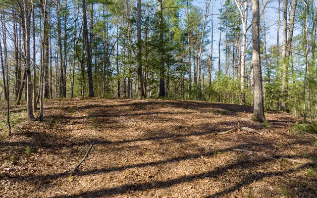$300,000 | 3-ac Coatopa Court, Ellijay, GA 30540