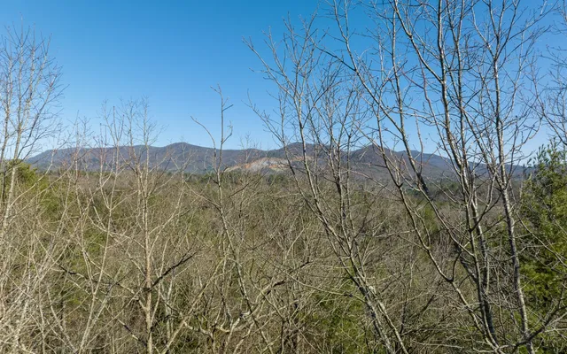 $300,000 | 3-ac Coatopa Court, Ellijay, GA 30540