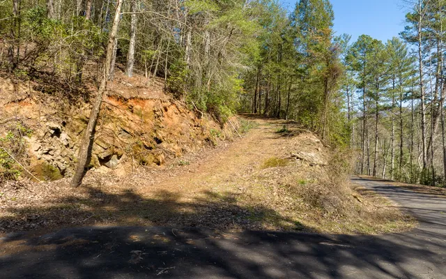 $300,000 | 3-ac Coatopa Court, Ellijay, GA 30540