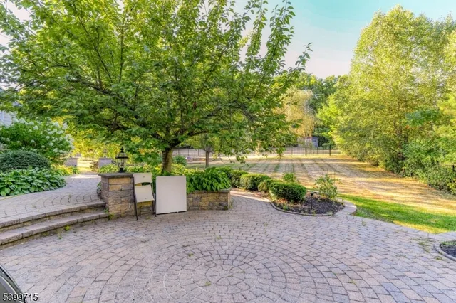 a view of a backyard with large trees and plants
