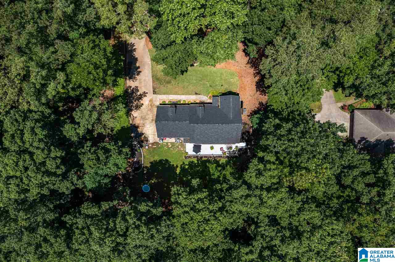 185 Mountain Drive Oneonta, AL 35121 - Photo 48 of 50