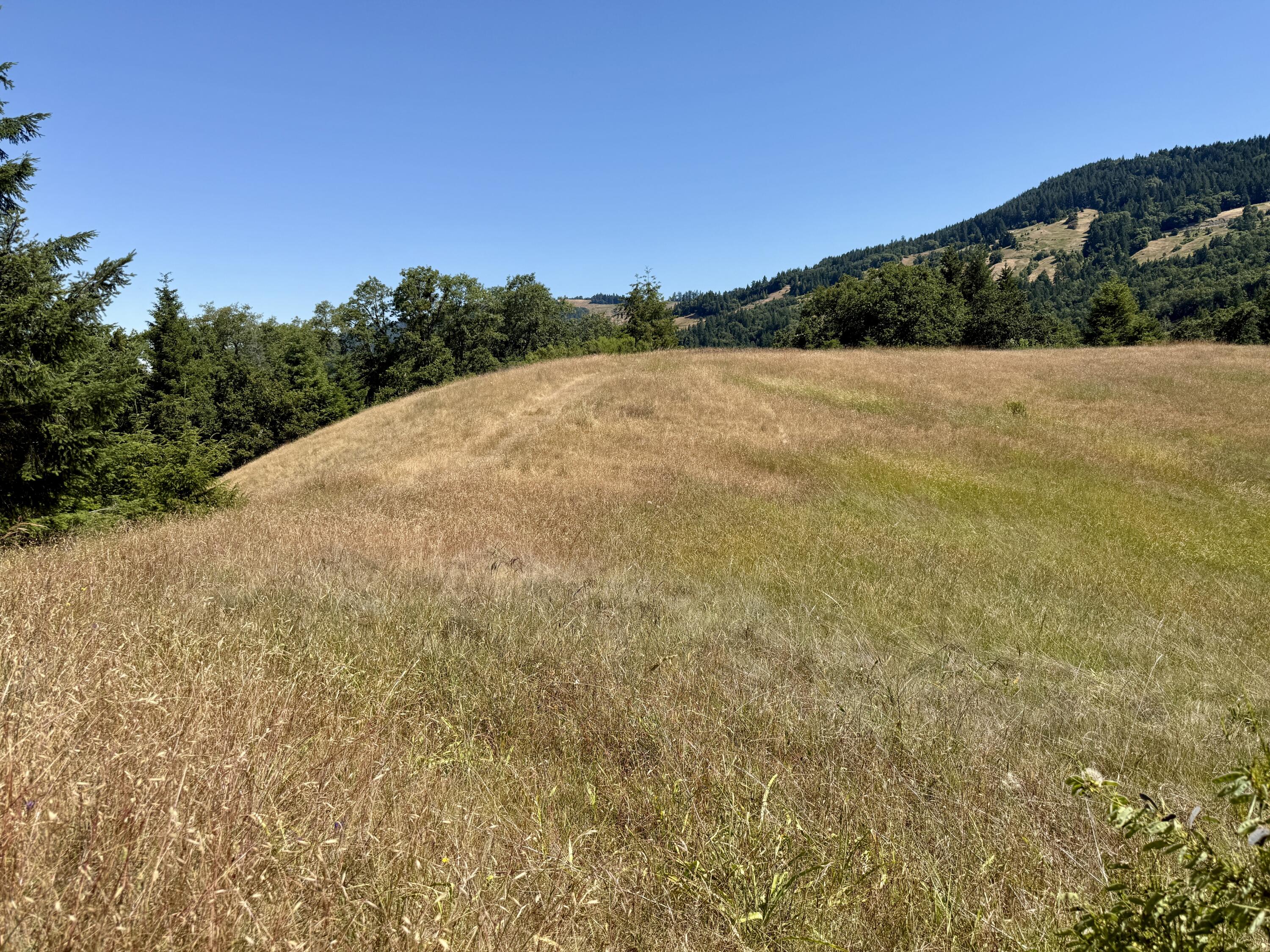 164-acres Saber Tooth Road Blue Lake, CA 95525 - Photo 8 of 11