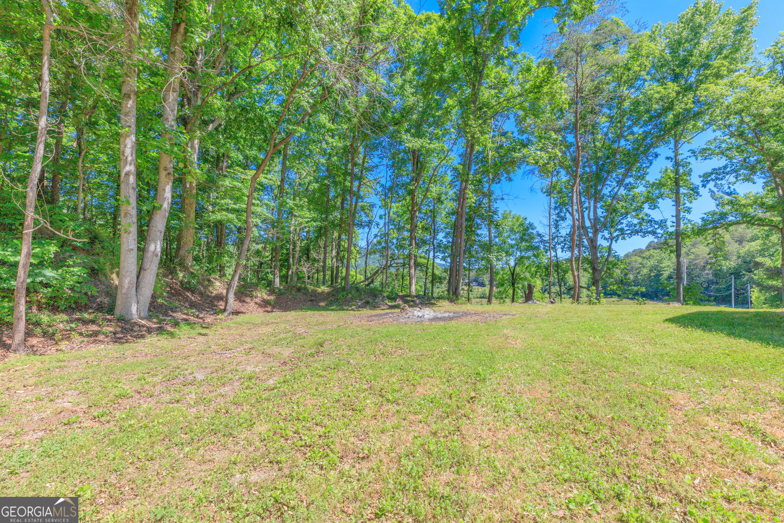 1004 Crow Gap Road Chickamauga, GA 30707 - Photo 29 of 36 a view of a yard with a tree
