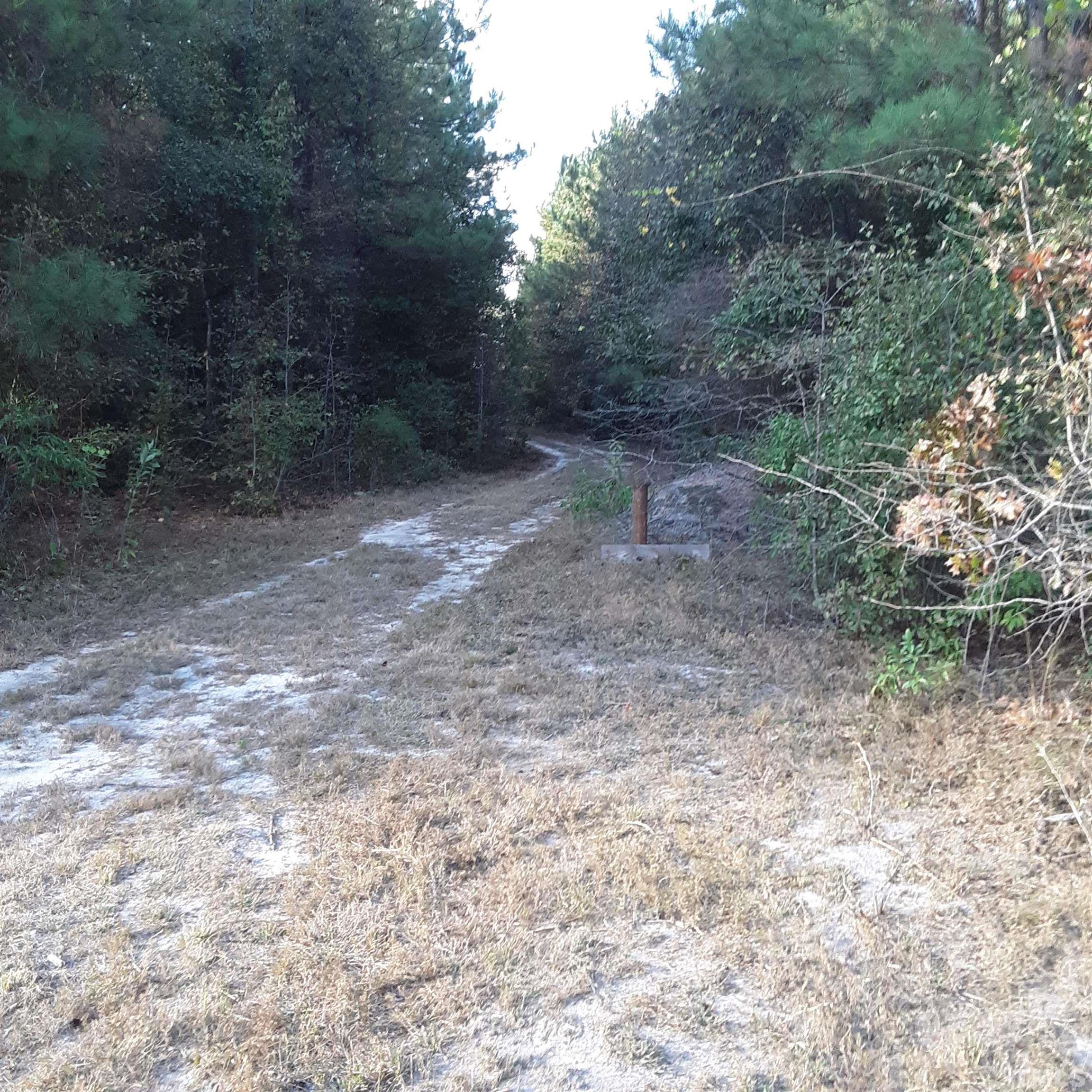 879 Tart Road Dunn, NC 28334 - Photo 6 of 8 Gallery Image 6