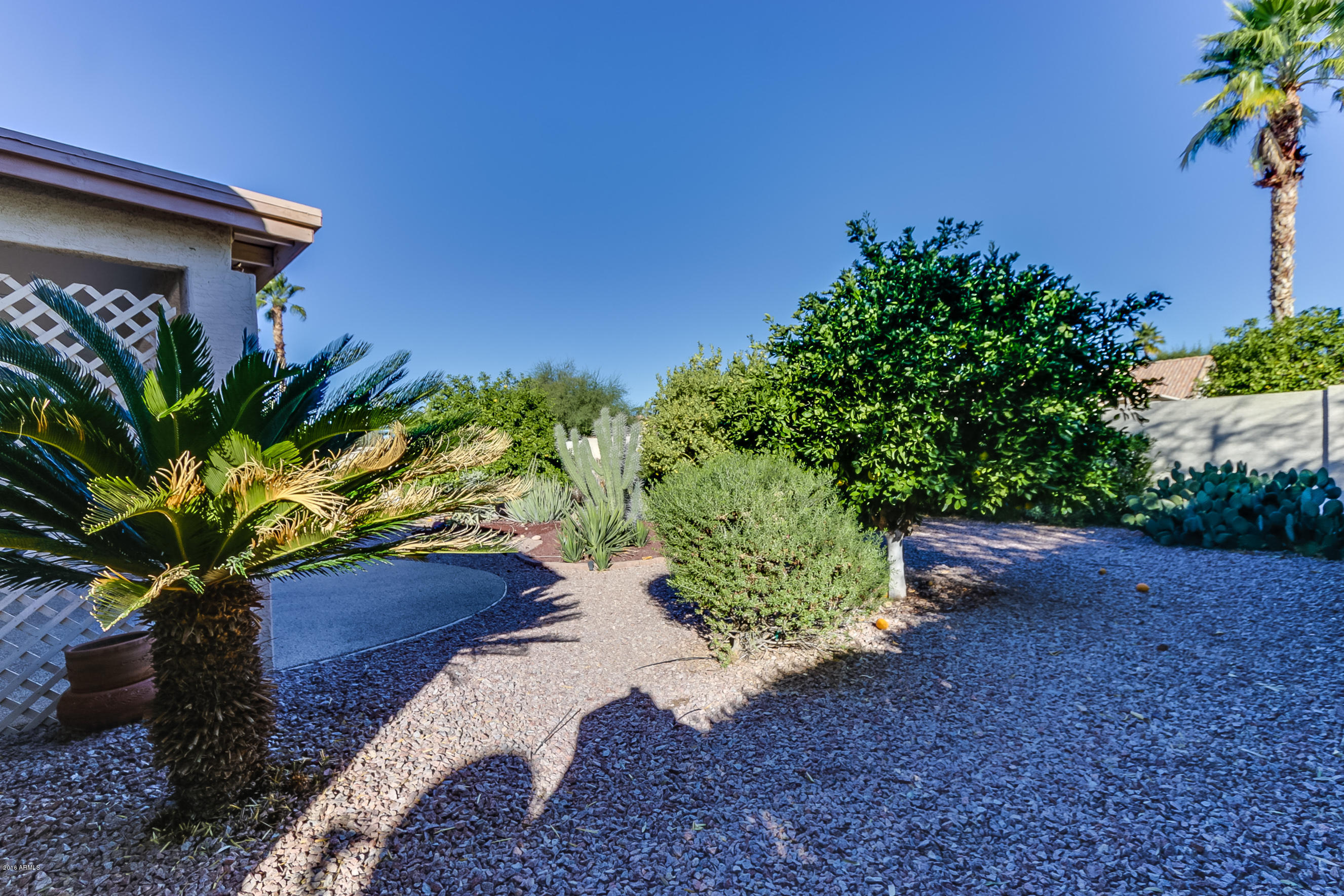 15304 Piccadilly Road Goodyear, AZ 85395 - Photo 53 of 64 Piccadilly - 053