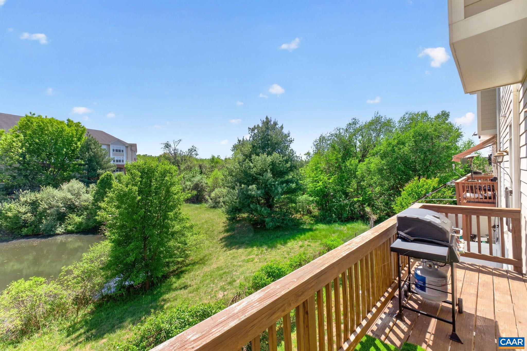 2527 Avemore Pond Road Charlottesville, VA 22911 - Photo 28 of 47