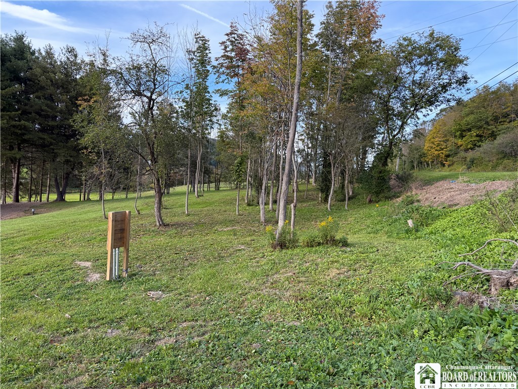 0 Creek Road Cuba, NY 14727 - Photo 8 of 25 Gallery Image 8