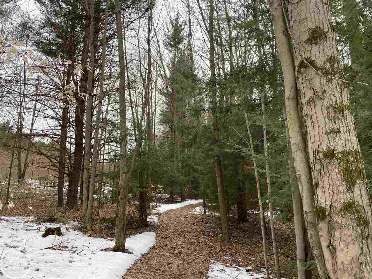 3250 Garlick Road North Street, MI 48049 - Photo 74 of 75 50036047-74.JPG