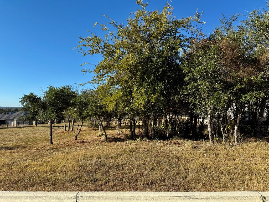 1018 Comanche Hills Kerrville, TX 78028 - Photo 2 of 6 a view of outdoor space with trees