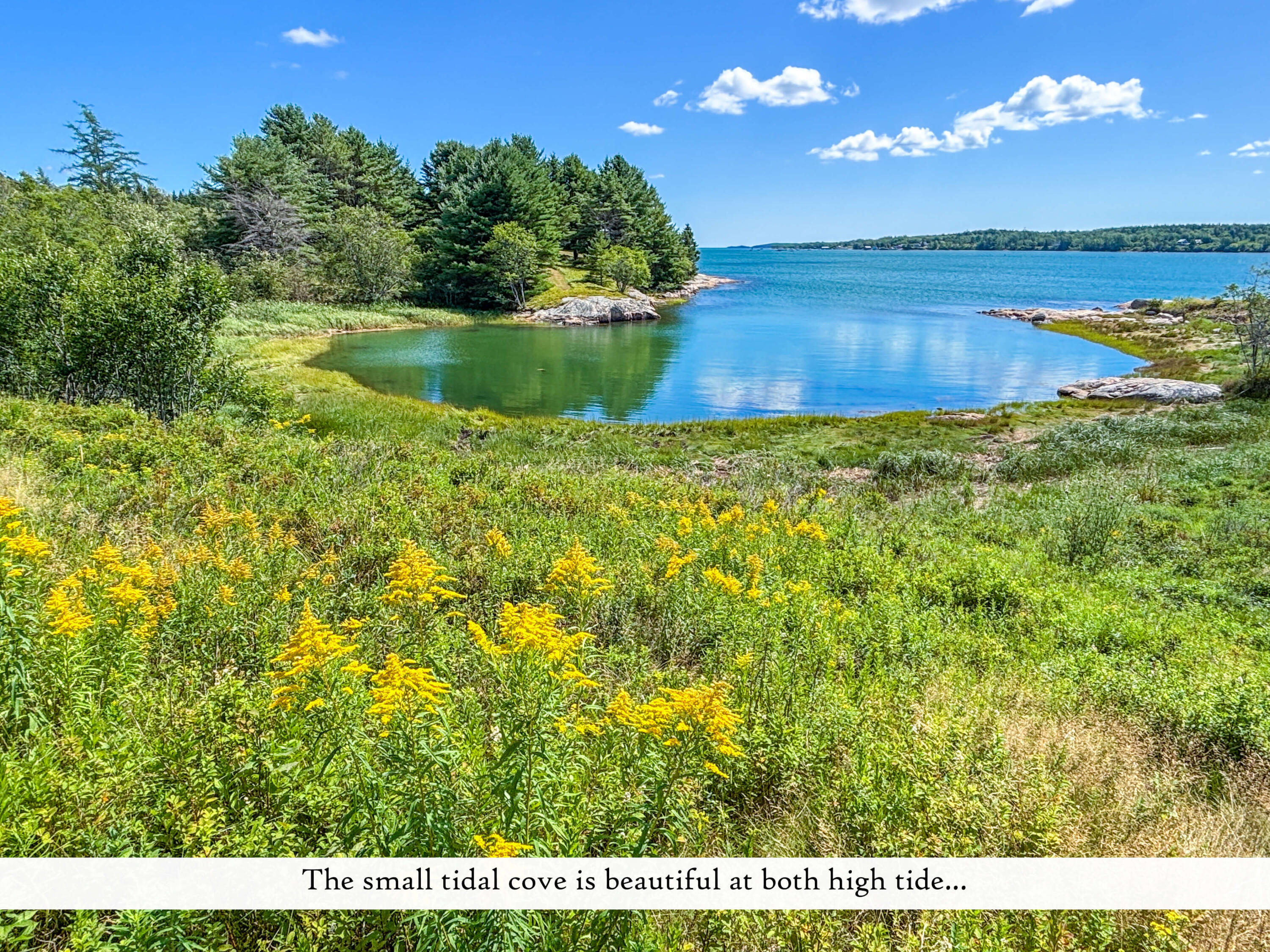 195 Ficketts Point Road Milbridge, ME 04658 - Photo 11 of 142 Grounds (8), label