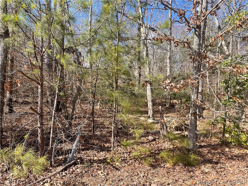 0 Stampers Bay Road Hartfield, VA 23071 - Photo 3 of 9