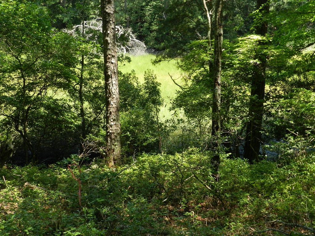 Lot B6 Saltworks Road, Unit B6 Exmore, VA 23350 - Photo 11 of 28