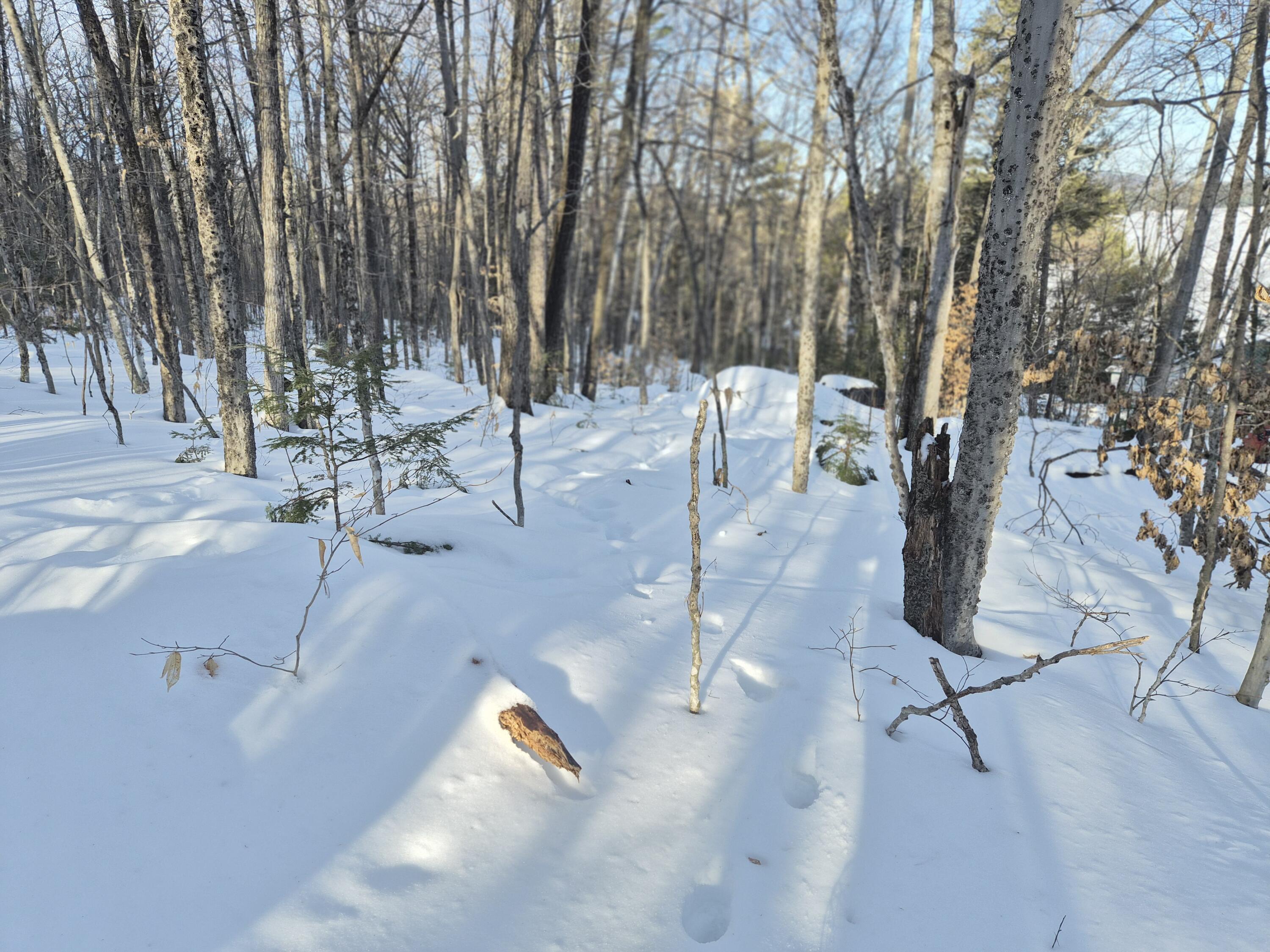 Mu1-l9c Mu1-l9c Bachellers Mill Road Chesterville, ME 04938 - Photo 5 of 8 20260219_151220