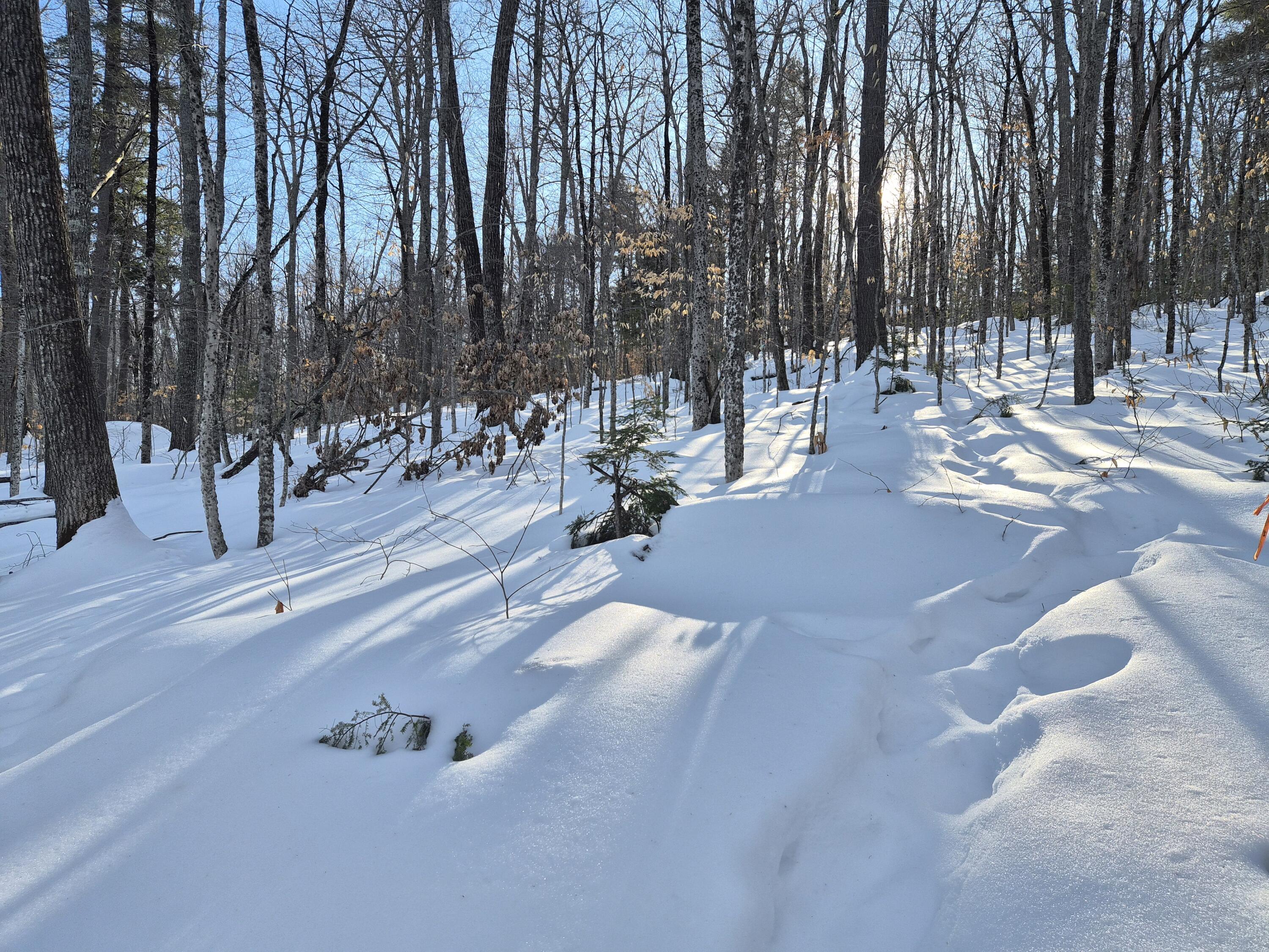 Mu1-l9c Mu1-l9c Bachellers Mill Road Chesterville, ME 04938 - Photo 6 of 8 20260219_151113