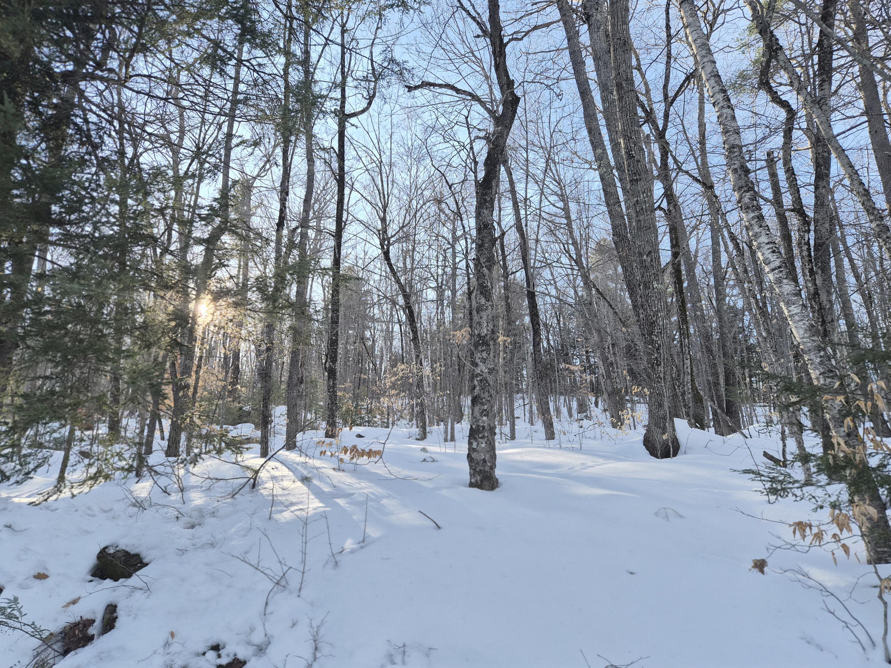 Mu1-l9c Mu1-l9c Bachellers Mill Road Chesterville, ME 04938 - Photo 7 of 8 20260219_151415