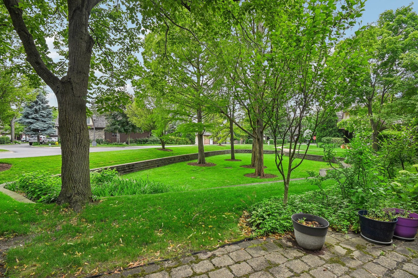 1551 Winnetka Road Glenview, IL 60025 - Photo 24 of 28 a view of a garden with a large trees