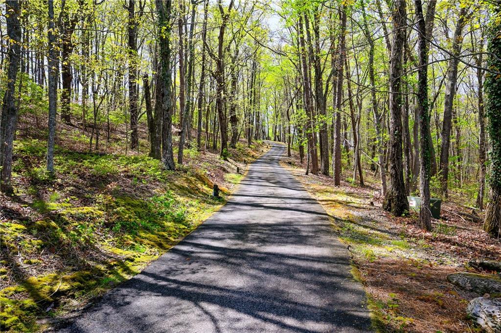 6795 Dawg Ridge Dawsonville, GA 30534 - Photo 61 of 84