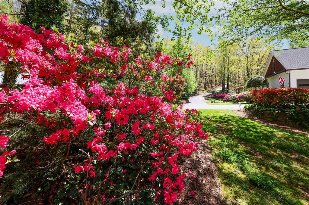 6795 Dawg Ridge Dawsonville, GA 30534 - Photo 64 of 84