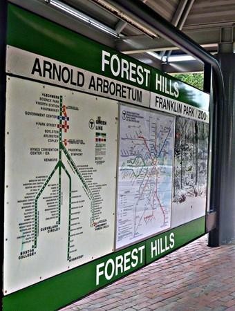 19 Asticou Road, Unit 1 Boston, MA 02130 - Photo 24 of 24