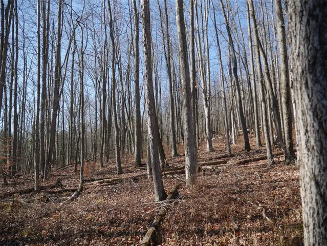 $299,000 | 5297 Day Hollow Road, Endicott, NY 13760