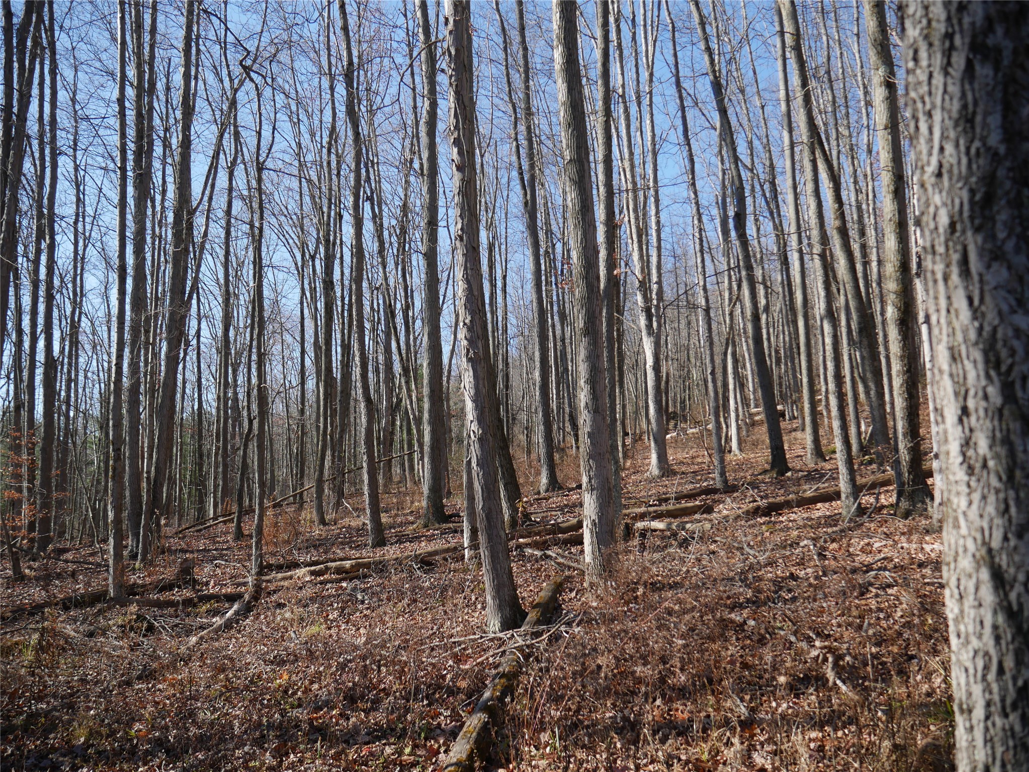 5297 Day Hollow Road Endicott, NY 13760 - Photo 36 of 37