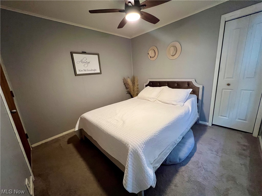 157 North 2nd Street Rittman, OH 44270 - Photo 31 of 43 Carpeted master bedroom featuring ceiling fan and a closet