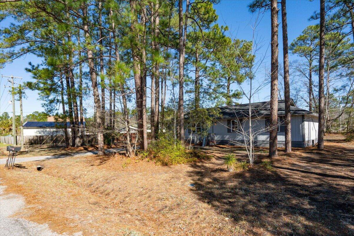 444 Academy Road Walterboro, SC 29488 - Photo 4 of 34 Spacious Yard