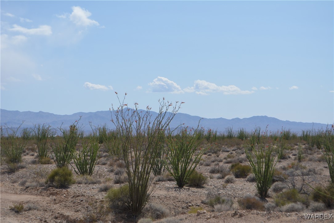 245-24-107 South Rainbow Road Yucca, AZ 86438 - Photo 69 of 91