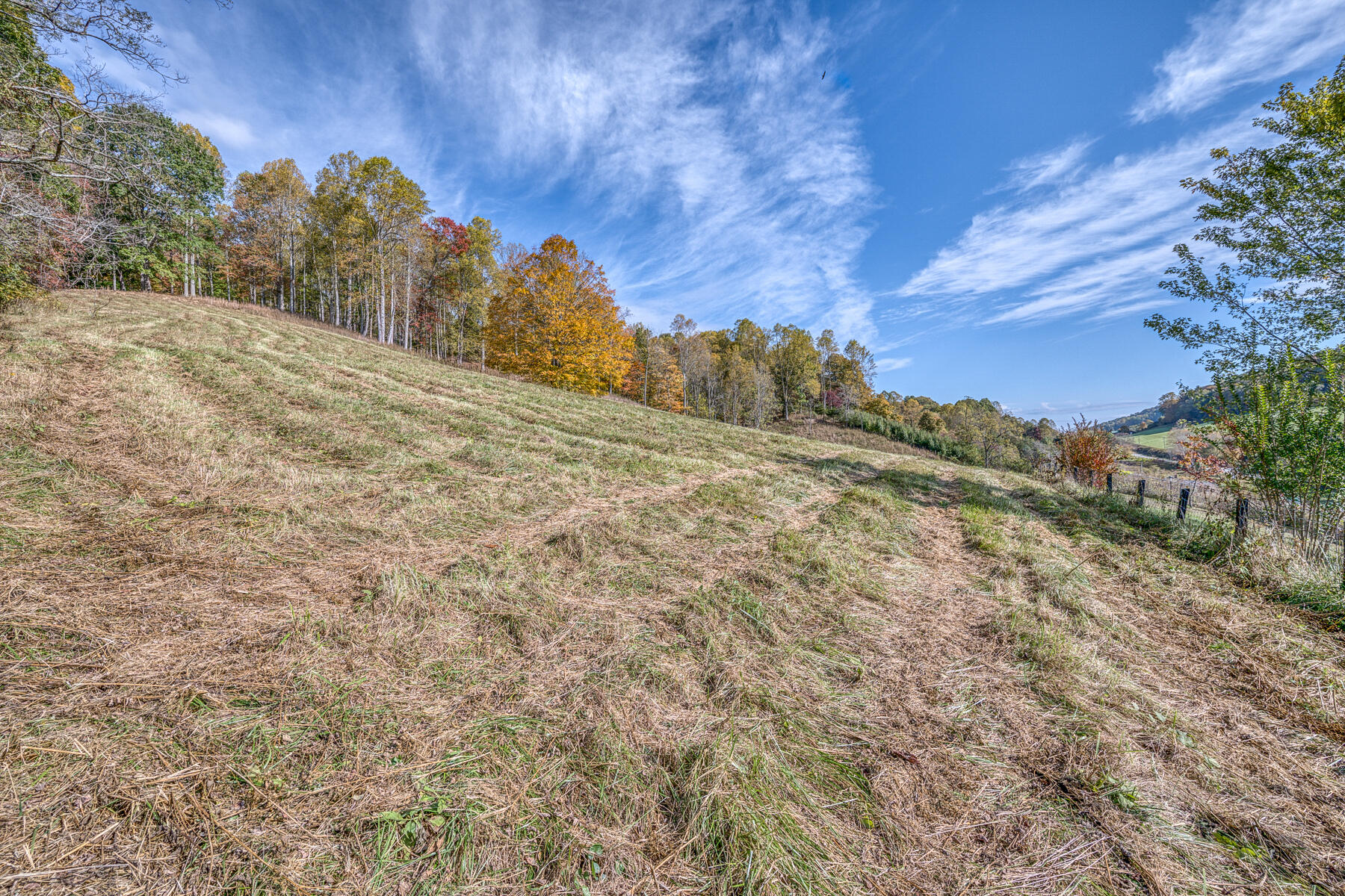 16517 Rich Valley Road Abingdon, VA 24210 - Photo 40 of 52 PASTURE 2