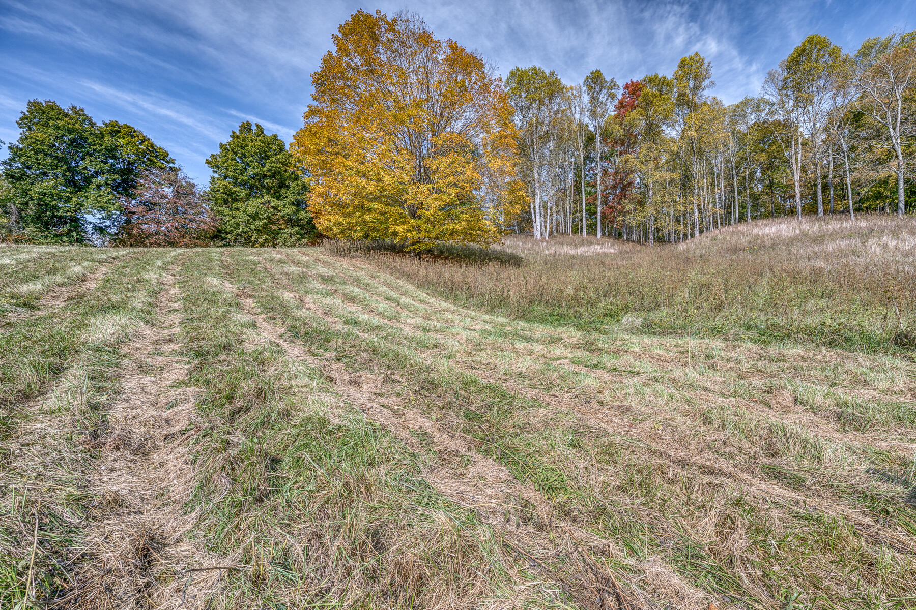 16517 Rich Valley Road Abingdon, VA 24210 - Photo 41 of 52 MORE PASTURE