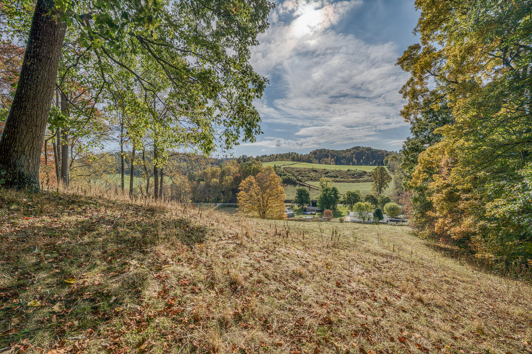 16517 Rich Valley Road Abingdon, VA 24210 - Photo 48 of 52 GREAT PRIVACY UP HERE