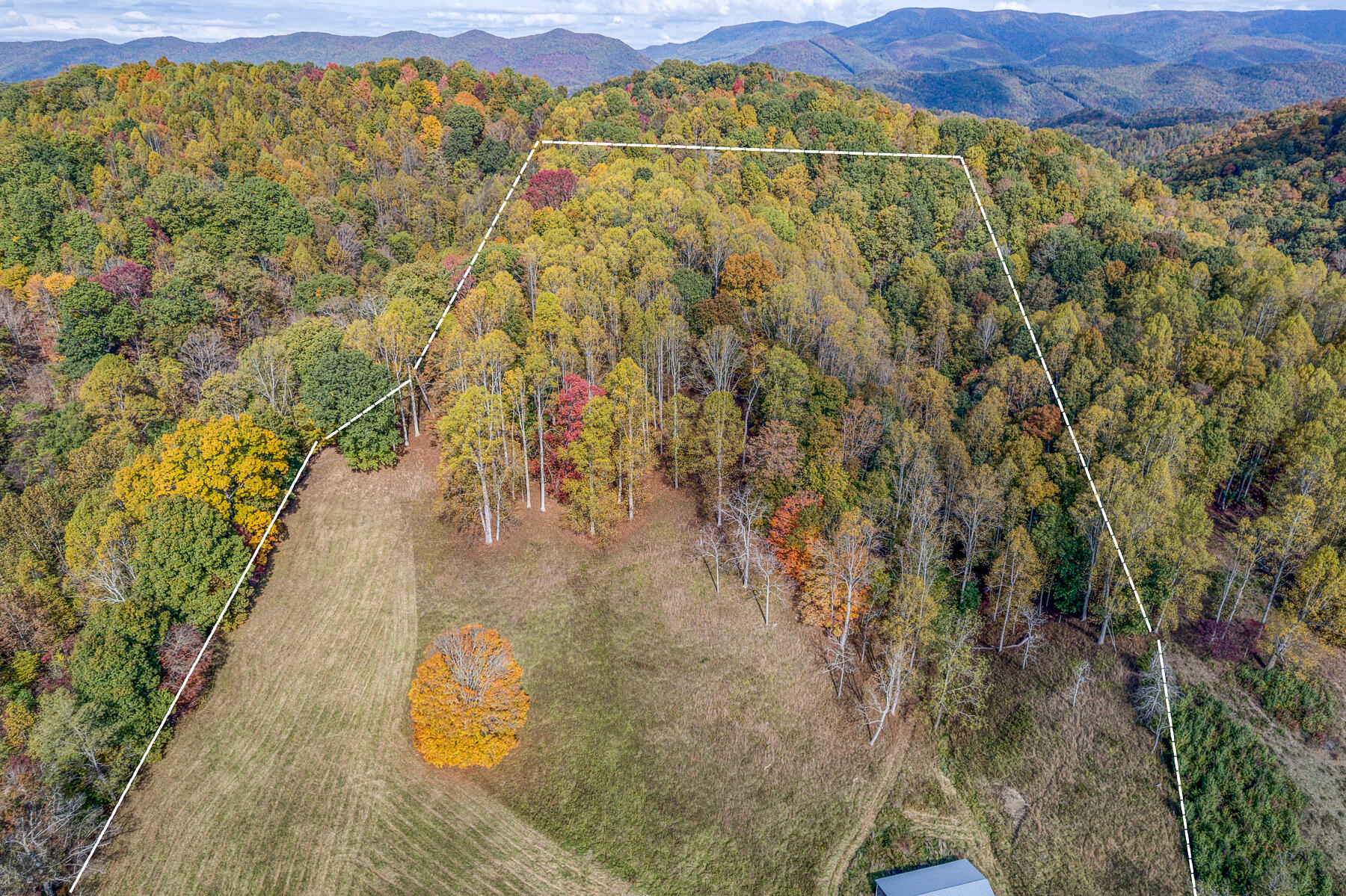 16517 Rich Valley Road Abingdon, VA 24210 - Photo 49 of 52 BORDER
